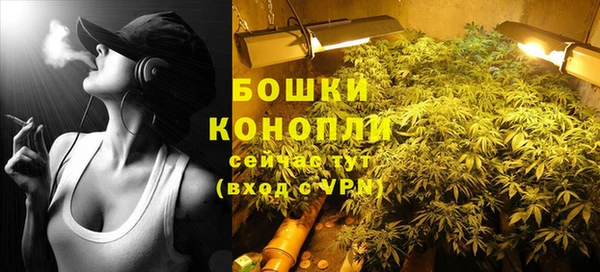 молекула духа Белокуриха