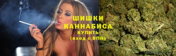 молекула духа Белокуриха