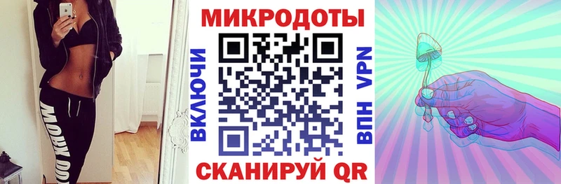 закладка Янаул Псилоцибиновые грибы Psilocybine cubensis
